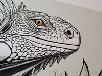 Butch The Huge Iguana Textured Print