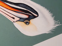 Chompers The Magnificent Pelican Textured Print