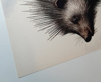 Spike The Curious Porcupine Textured Print