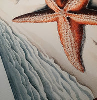 Starfish On The Beach Textured Print