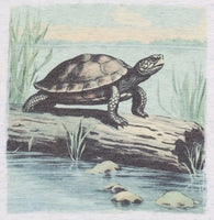 Turtle On A Log On The Lake Light Granite T-Shirt