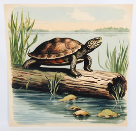 TwoAcreTees.com Turtle On A Log On The Lake Textured Print